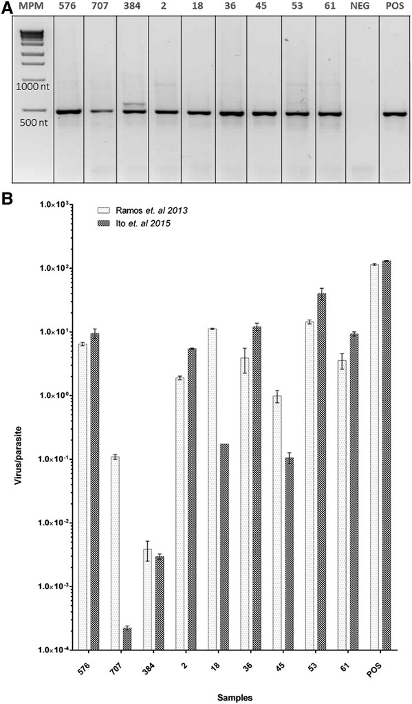 Detection of Leishmania RNA Virus in Clinical Samples from