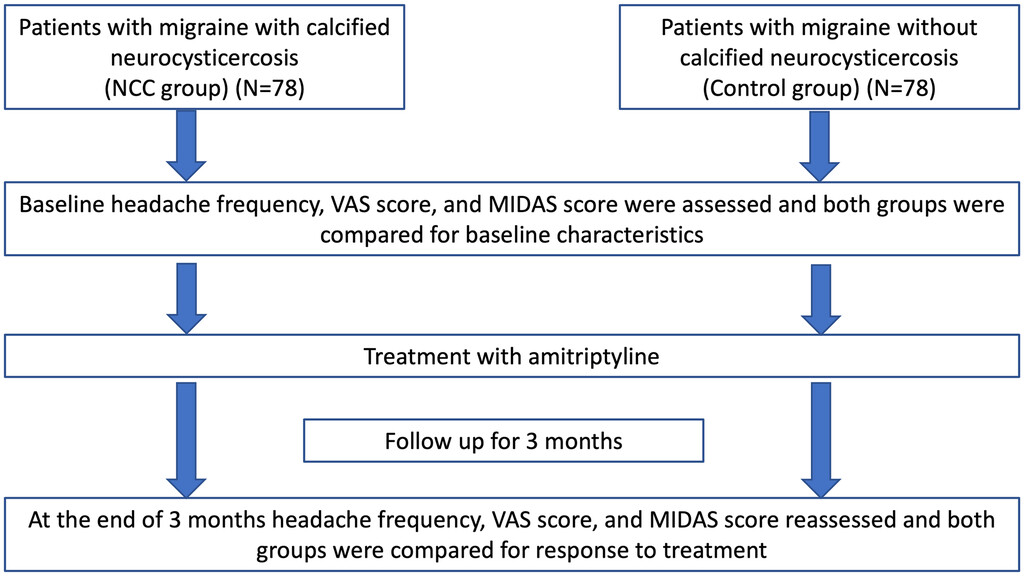 Main features of clinical cases and Visual Aura Rating Scale (VARS).