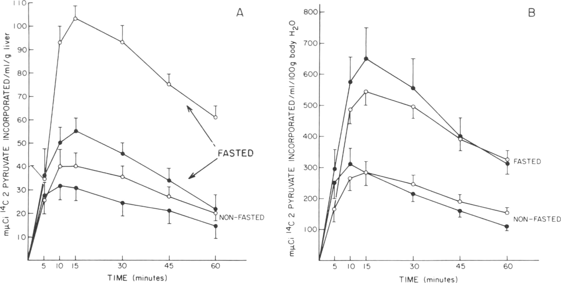 In Vivo Gluconeogenesis Under Different Nutritional Regimens During Murine Schistosomiasis In The American Journal Of Tropical Medicine And Hygiene Volume 37 Issue 2 1987