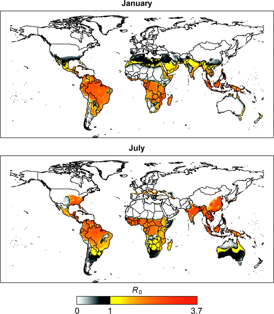 Assessing the Risk of International Spread of Yellow Fever Virus: A ...